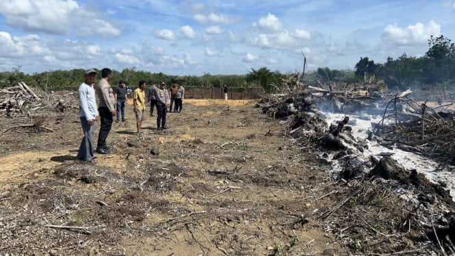 Supar Sengaja Bakar Lahan Karet Buat Dijadikan Kebun Kelapa Sawit, Ditangkap Polisi