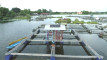 Photo Mini 2