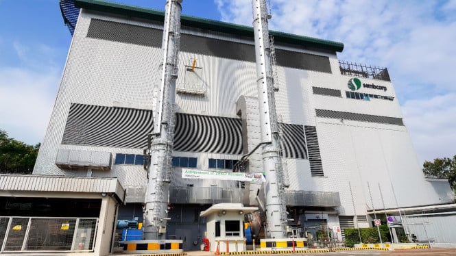 Semester I-2025, TBS Energi Catat Pendapatan Senilai US$172,2 Juta