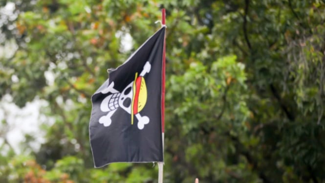 Media Asing Heran Bendera One Piece Disebut Ancaman Oleh Pemerintah RI