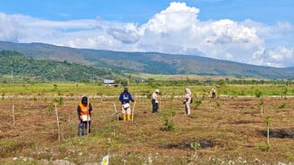 Dorong Ketahanan Pangan, Bank Tanah Gandeng Warga Manfaatkan 4 Hektare Lahan di HPL Poso