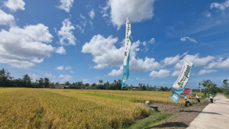 Perlindungan Lahan Pertanian Diperkuat, Kepastian Usaha Petani Makin Terjaga