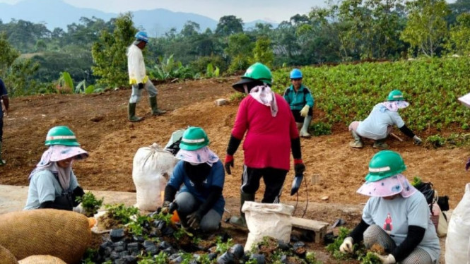 Warga Sekitar Panik Nasibnya Diujung Tanduk Buntut Kawasan Ekowisata di Bogor Ini Mau Ditutup