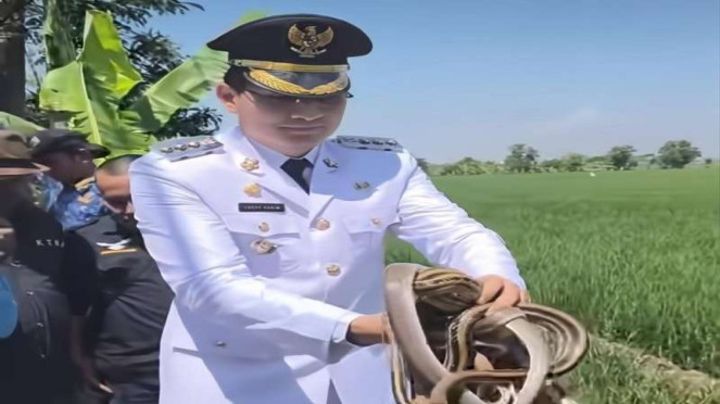 Bupati Indramayu Lucky Hakim melepaskan ular ke sawah untuk berantas tikus