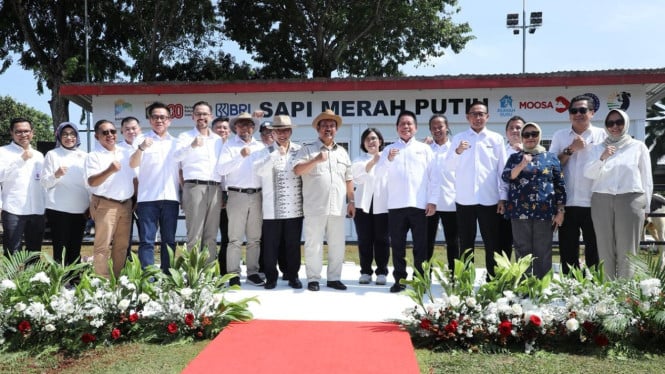 BRI Dukung Program Sapi Merah Putih, Dorong Swasembada Pangan Nasional