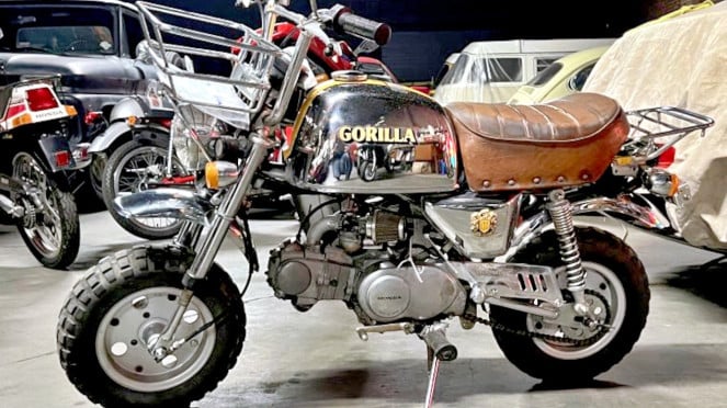 Honda Gorilla