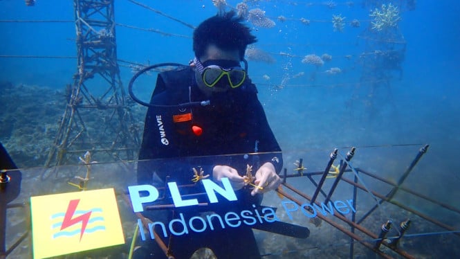 Cara PLN IP Pastikan UBP Jeranjang Tak Hanya Jadi Pusat Energi Pulau Lombok