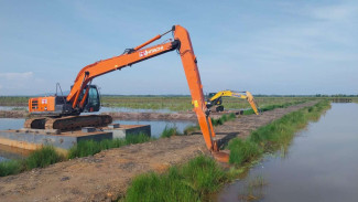 Kementan Tegaskan Cetak Sawah Rakyat Jadi Solusi Atasi Masifnya Alih Fungsi Lahan