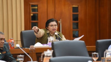 Miembro de la Comisión de la Cámara de Representantes IX, Irma Chaniago
