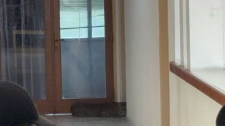 Heboh Macan Tutul Ditemukan di Hotel Bandung, Diduga yang Kabur dari Lembang Park & Zoo