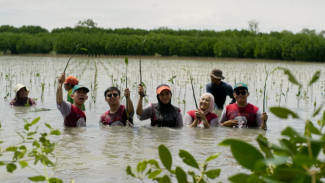 BEST Lakukan Ini Tingkatkan Serapan Karbon hingga Perkuat Pesisir Sekitar Daerah Operasional