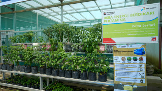 Inovasi Tukar Jerami dengan Air ala Pertamina