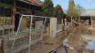 Photo Mini 2