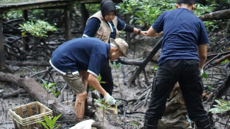 Dorong Pemulihan Ekosistem Alam di Tarakan, Telkom Gandeng AYS Indonesia