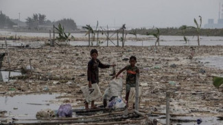 Satgas PRR Segera Rehabilitasi Tambak dan Keramba Terdampak Bencana Sumatera Dorong Pemulihan Ekonomi