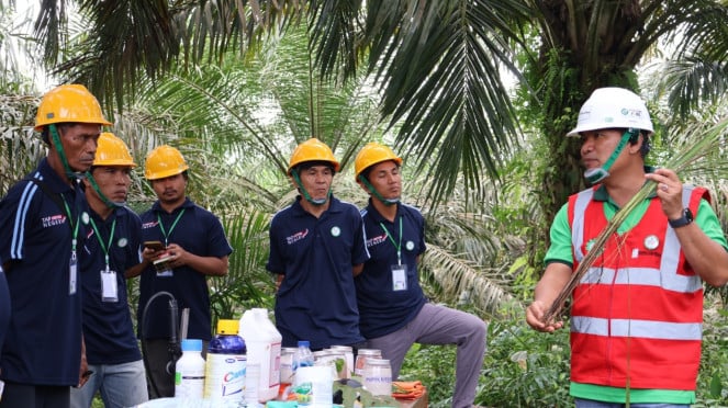 PT Triputra Agro Persada Tbk