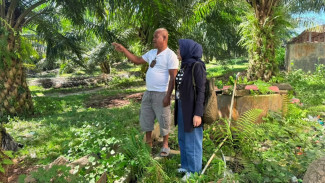 Intip Kiprah Mantri BRI dari Jalan Berlumpur hingga Pelosok Desa Jadi Penggerak Pertumbuhan Ekonomi Kerakyatan