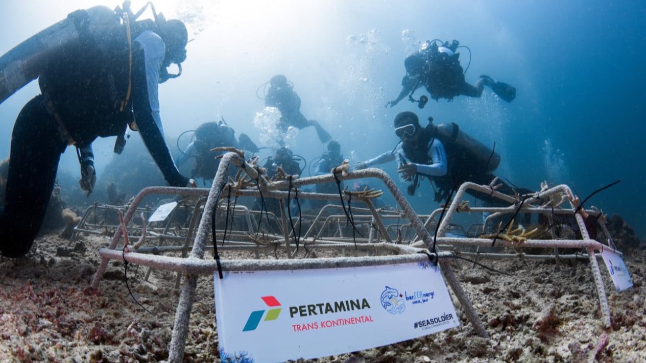 Pertamina Trans Kontinental Lakukan Hal Ini Jaga Ekosistem Bahari Laut Sulawesi Utara