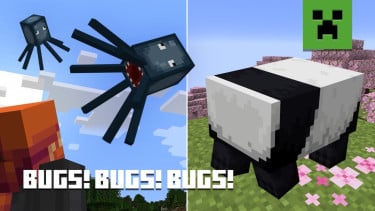 img_title