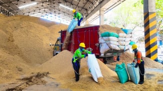 SIG Pabrik Tuban Pakai Bahan Bakar Sekam Padi 400 Ton per Hari, Optimalkan Energi Alternatif Genjot Produksi